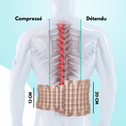 Spinal Decompression Belt